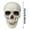(A88 A 8.7"), variant on Small Skulls Halloween Decor, 4.1" Plastic Fake Skeletons Movable Jaw, Mini Skulls For Crafts Outdoor Halloween Decorations, Realistic Miniature Human Skull Heads Home Decor