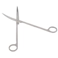 thumbnail image 1 of <p>1PC Plant Tongs; Professional Aquatic Durable Practical Stainless Steel Plant Scissors; Plant Scissors Fish   Scissor For Aquarium</p>, 1 of 7