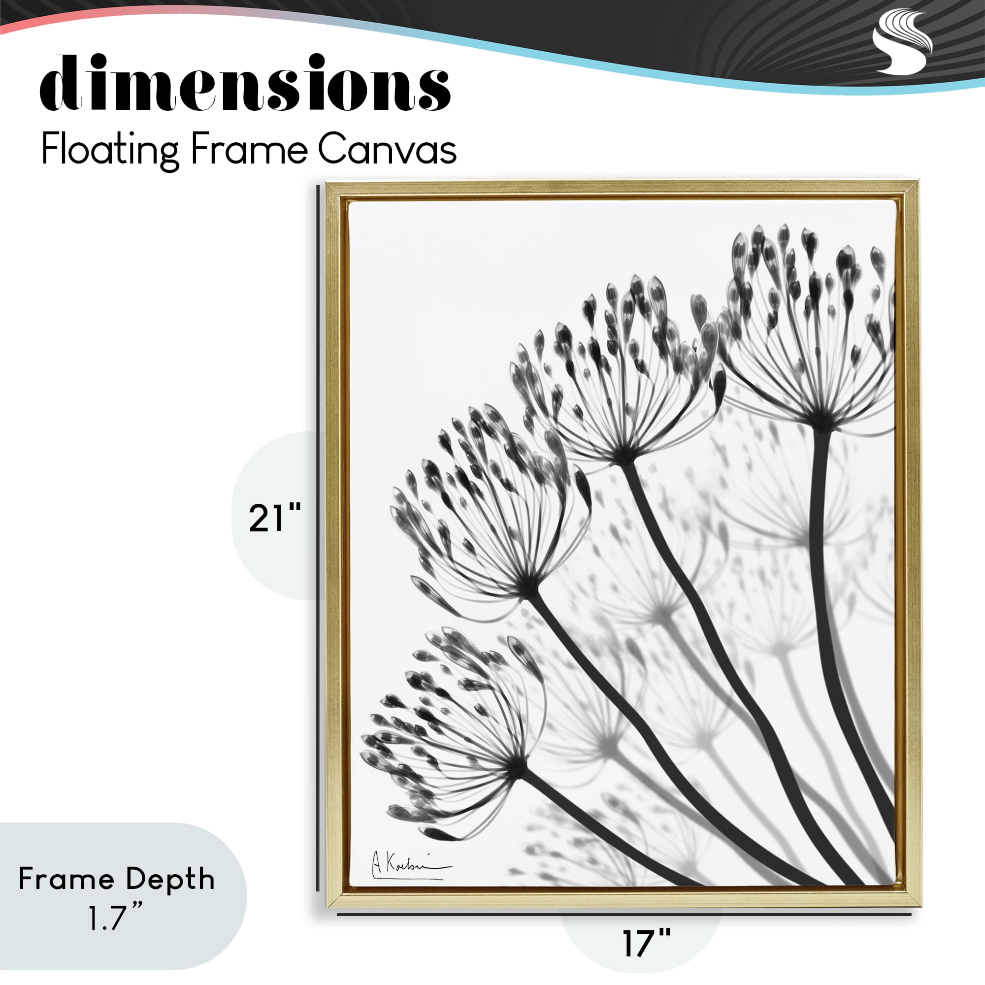Stupell Industries Floral Fan Dandelions Gold Framed Floater Canvas Wall Art, design by Albert Koetsier