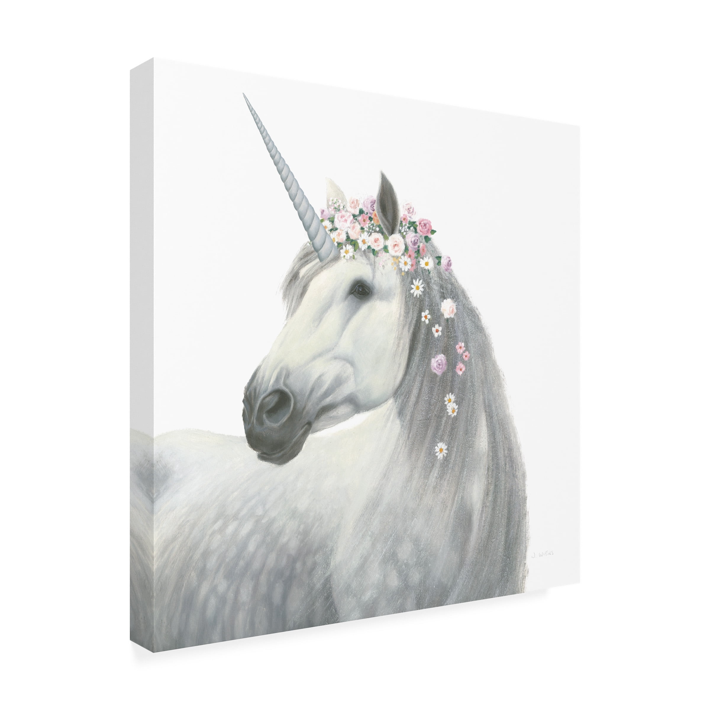 James Wiens 'Spirit Unicorn II Square' Canvas Art