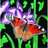 En Vogue B-38 Iris and Butterfly - Decorative Ceramic Art Tile - 8 in. x 8 in.