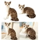 thumbnail image 1 of 2 juguetes de peluche para gatos, cómodo cojín de muñeca, decoración agradable a la piel, accesorios para fotos hechos a mano para el regalo del dormi Gato tumbado y gato sentado CUTICAT Juguetes de peluche, 1 of 8