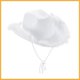 thumbnail image 3 of Sombrero de vaquero con borde crudo rosa para novia, diadema Sexy, accesorios para fotos de novia, accesorios para despedida de soltera, 3 of 3