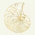 thumbnail image 2 of Tavoletti, Anne 26x26 Black Ornate Wood Framed with Double Matting Museum Art Print Titled - Coastal Breeze Shell Sketches, 2 of 4