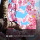 thumbnail image 4 of TV 65 Pulgadas RCA Smart TV UHD 4K R65M-U4G Google TV, 4 of 8
