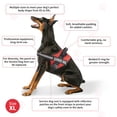 thumbnail image 4 of Chaleco Opstin para perros de servicio, etiqueta de identificación, 50 tarjetas de información ADA, talla X-Small-XXL, 4 of 6