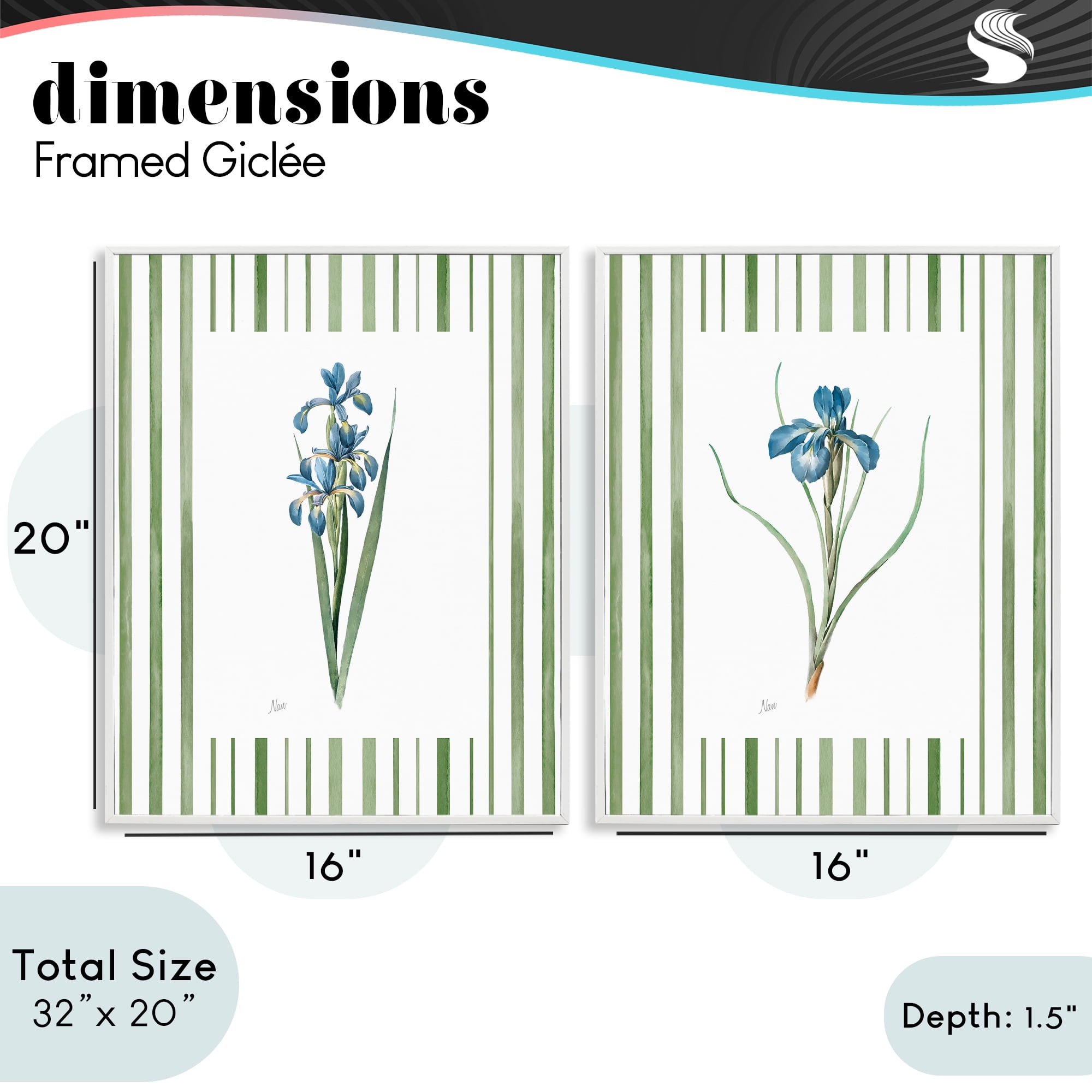 Stupell Industries Irises And Stripes 2 Piece White Framed Giclee Art Set, design by Nan