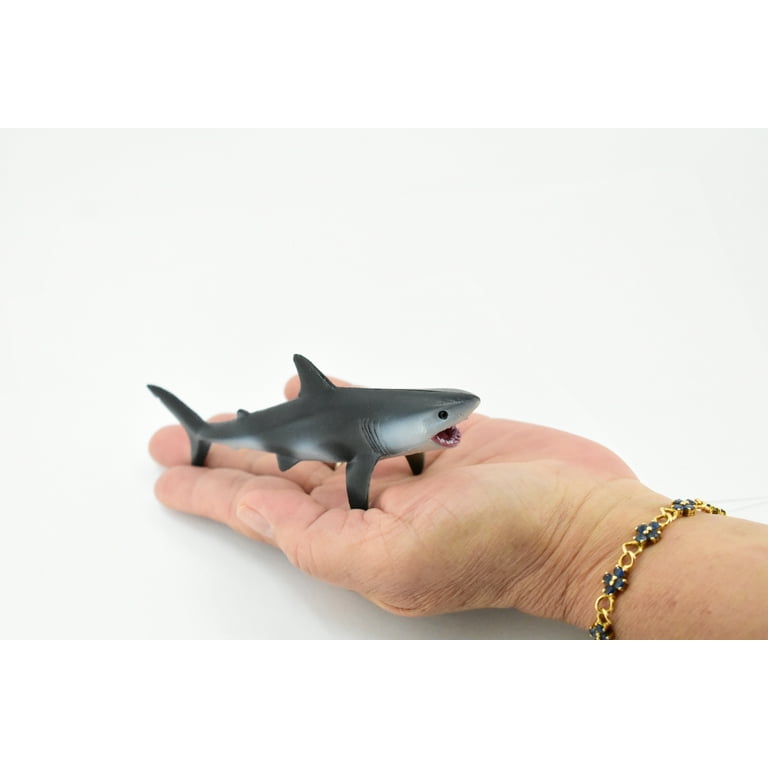 Shark, Great White Shark, Museum Quality, Rubber Fish, Hand Shark, Great White Shark, Museum Quality, Rubber Fish, Hand