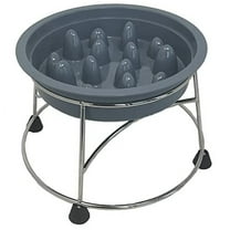 Gray Slow Feed Bowl w Holder