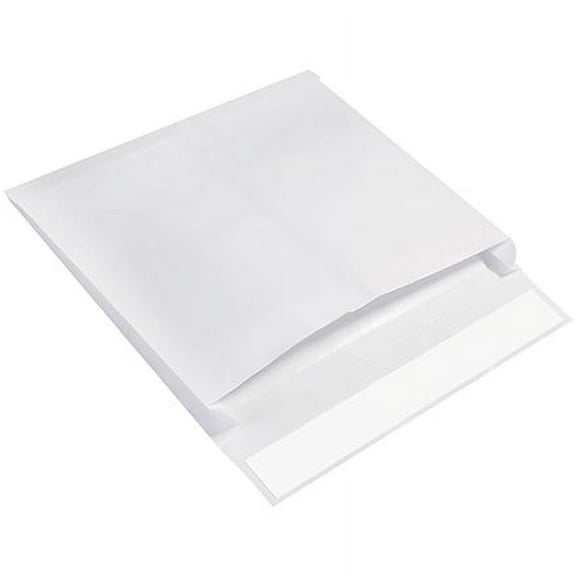 SSBM 100/Case 12" x 16" x 2" Plain Expandable Ship-Lite® Shipping Envelopes Mailers