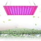 thumbnail image 3 of Luces LED para cultivo de plantas de interior, panel de espectro completo de 12 W, lámpara para cultivo de plantas, 3 of 9