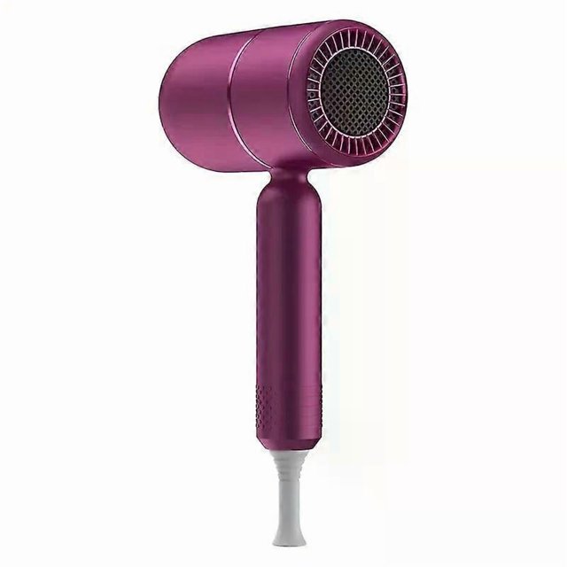 Pro Ionic Hair Dryer - Fast Drying, Gentle on Hair, Constant Temperature, Foldable Handle, Travel-Friendly, Diffuser Attachment for Curly Hair, Damage