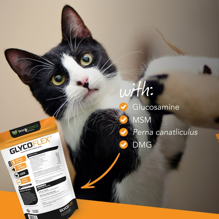 Glycoflex 3 for sales cats