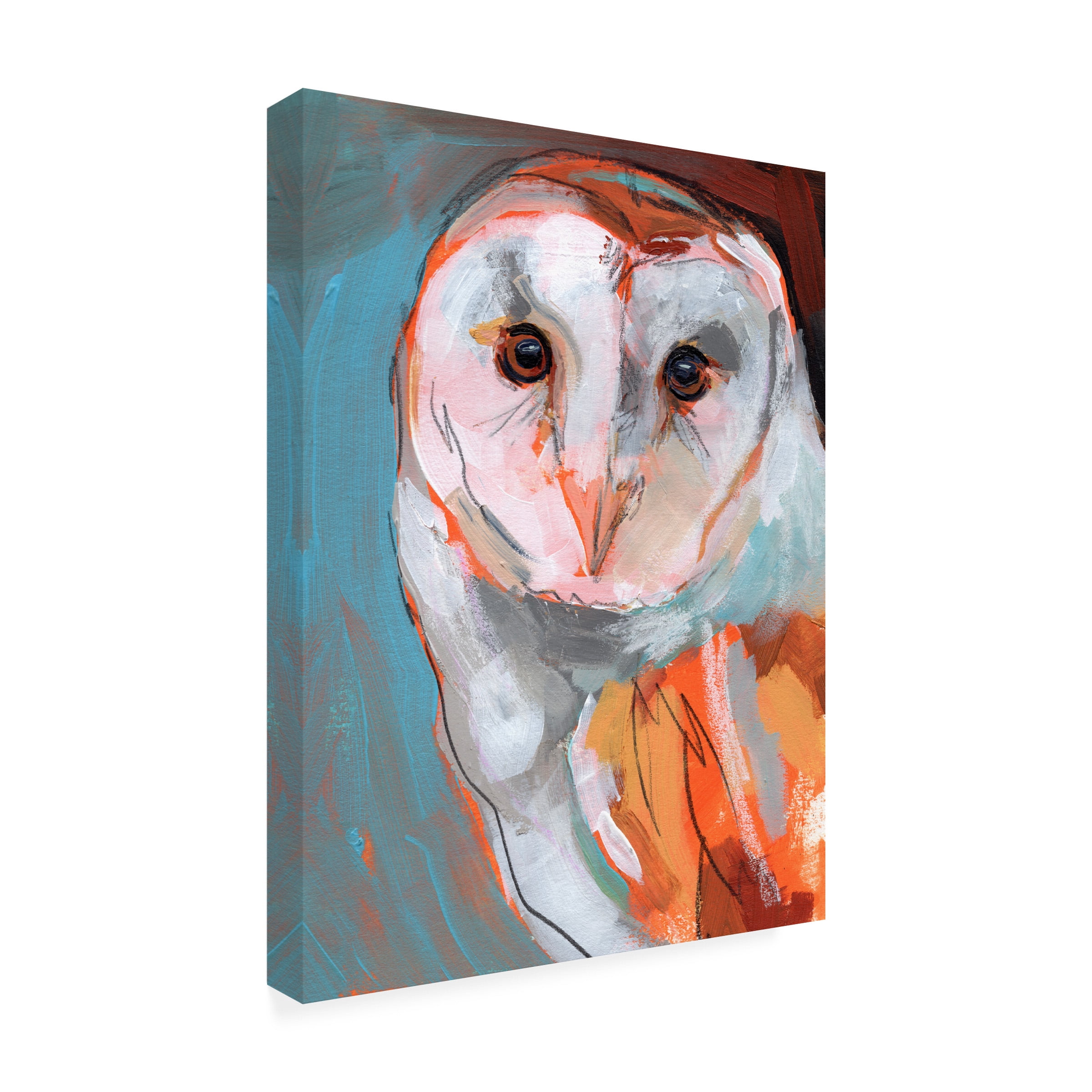 Jennifer Paxton Parker 'Optic Owl II' Canvas Art