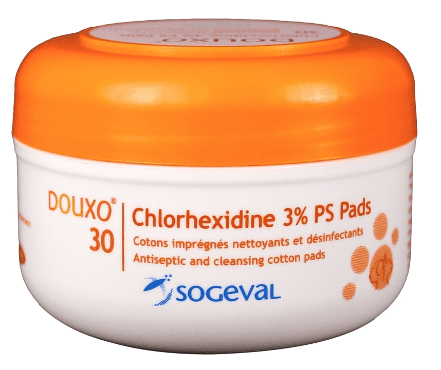 chlorhexidine pads for dogs