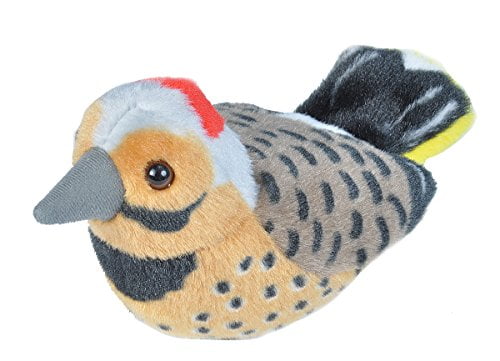 audubon bird toys