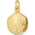 thumbnail image 4 of 14K Yellow Gold Polished With Freshwater Cultured Pearl Clam Pendant Made In Italy yc1489, 4 of 5