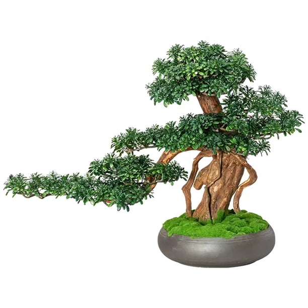 Simulación de árbol de bonsái artificial, plantas falsas, decoración de bonsái, planta verde falsa de 13 pulgadas, maceta interior for sala de estar, decoración del hogar