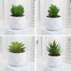 thumbnail image 3 of Planta suculenta artificial en maceta, cactus pequeños de imitación, decoración para interiores y exteriores, U7G6, 3 of 6