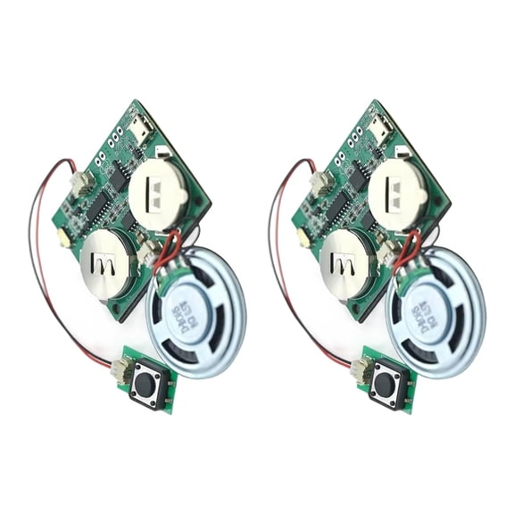 MultiPlatform Programmable Sound Recording Module 4MB USB Charging Data Port