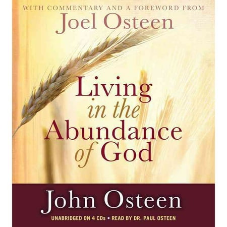Living in the Abundance of God