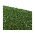 thumbnail image 2 of Replacement Grass, 2 of 3