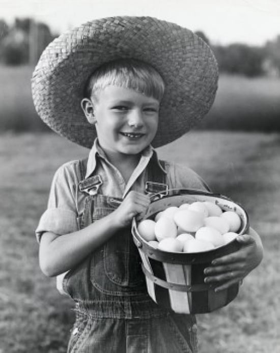 Portrait Of Boy Hol