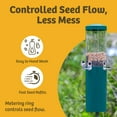 thumbnail image 6 of Birds Choice Squirrel Proof Bird Feeder with Pole and Squirrel Baffle, Green, 6 of 20