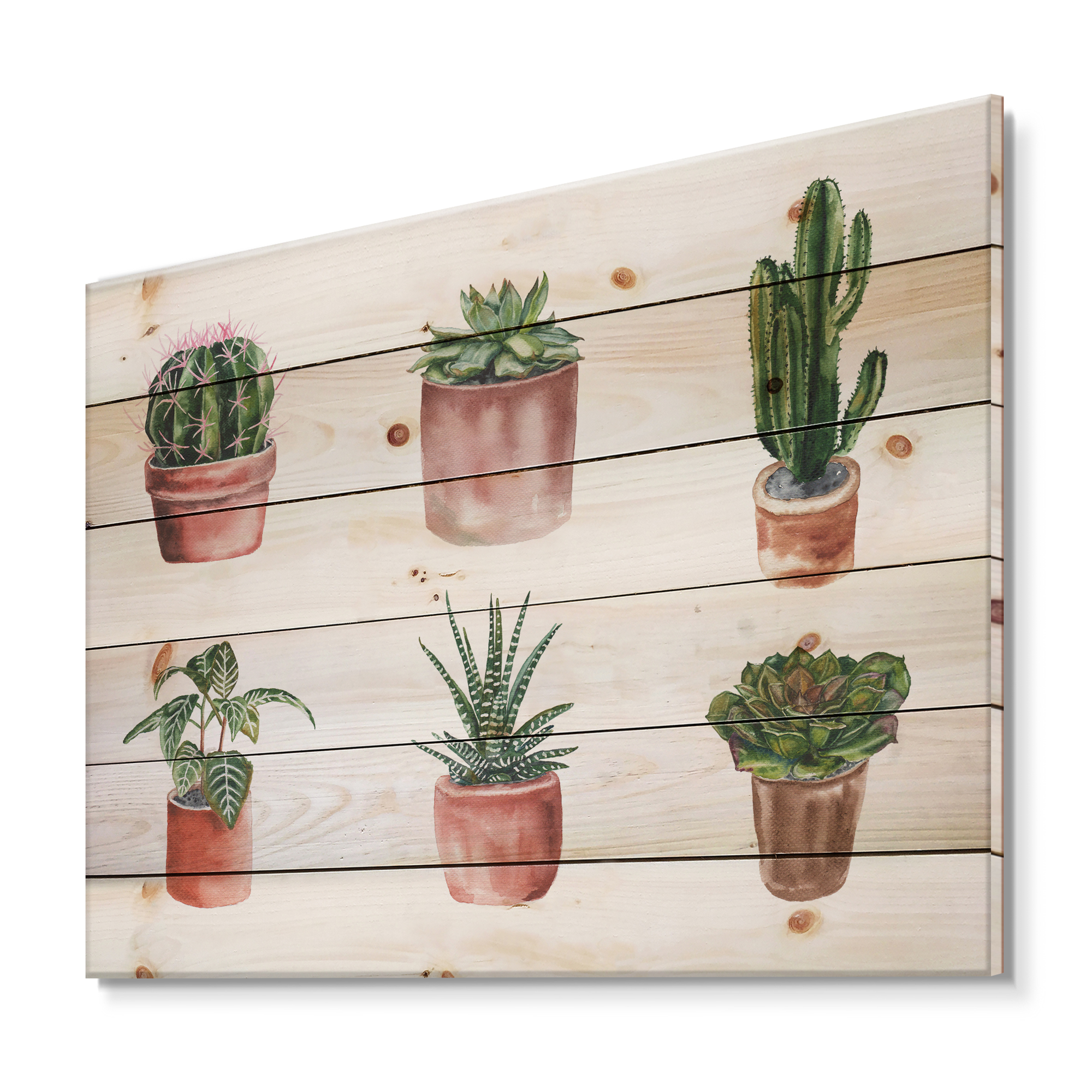Designart 'Cactus and Succulents In A Clay Pot ' Botanical Print on Natural Pine Wood