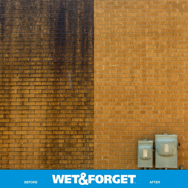 WET & FORGET 800066CA 100055340