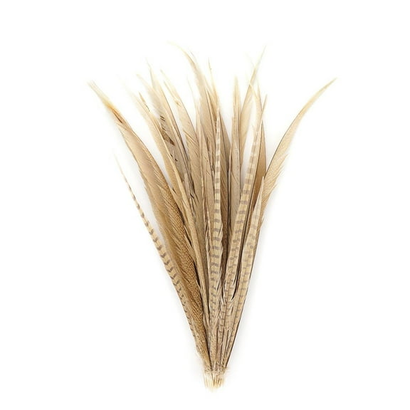 Zucker Feather Products Assorted Pheasant Tails Dyed - 16x30" - Eggshell