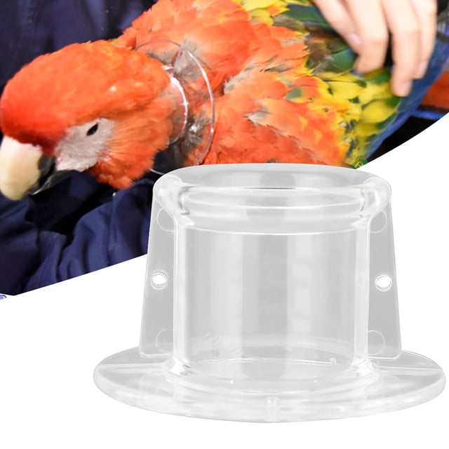 Collar protector para el cuello de pájaros, collar antimordeduras para loros, collar para el cuello de pájaros, máxima comodidad