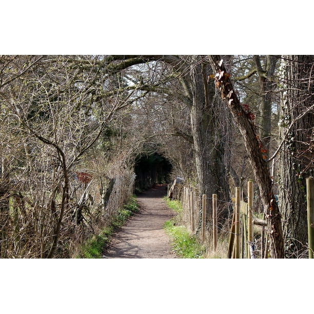 Framed Art For Your Wall Walk Mysterious Soul Forest Avenue Recovery 10x13 Frame Walmart Com Walmart Com