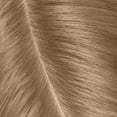 thumbnail image 7 of L'Oreal Paris Magic Root Rescue Permanent Hair Color, 7 Dark Blonde, 7 of 7