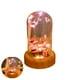 thumbnail image 3 of Deseando Streamer Altavoz Bluetooth Musical Led Luz Nocturna Usb Recargable Botella De Vidrio Romántica Lámpara De Noche Regalo Para Niñas Niños Dormitorio Decoración Botella Luz Cateissary HA013154-00, 3 of 7