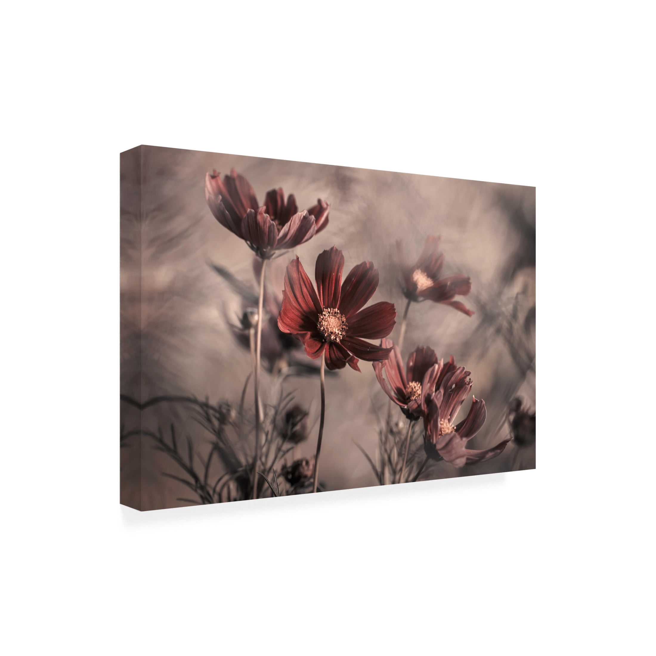 Canvas Wall Art - Fabien Bravin 'Cosmos 2019' Wall Art for Living Room, Bedroom, or Office D?cor by Trademark Fine Art - 32 x 22 Inches
