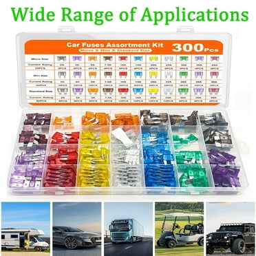 MKDAQIQIU Car Fuse Assortment Kit 300Pcs Automotive Fuses