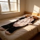 thumbnail image 1 of Saco de dormir suave extragrande para adultos con estampado de gato, material de franela, adecuado para acampar, pijamadas y descanso, almohada corporal lavable para relajación., 1 of 5