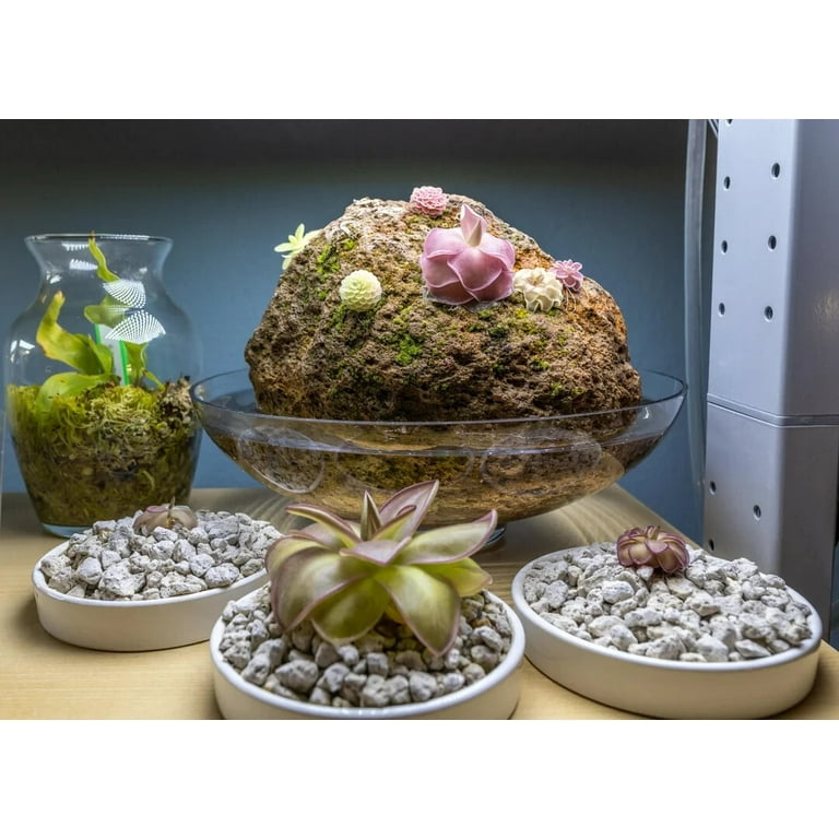 7 Gallons 3/8" Horticultural Pumice Rock Soil Amendment Succulents Cacti  Bonsai - Walmart.com