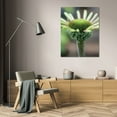 thumbnail image 3 of Erin Berzel 31x44 Gallery Wrapped Canvas Wall Art Titled - Echinacea IV, 3 of 4