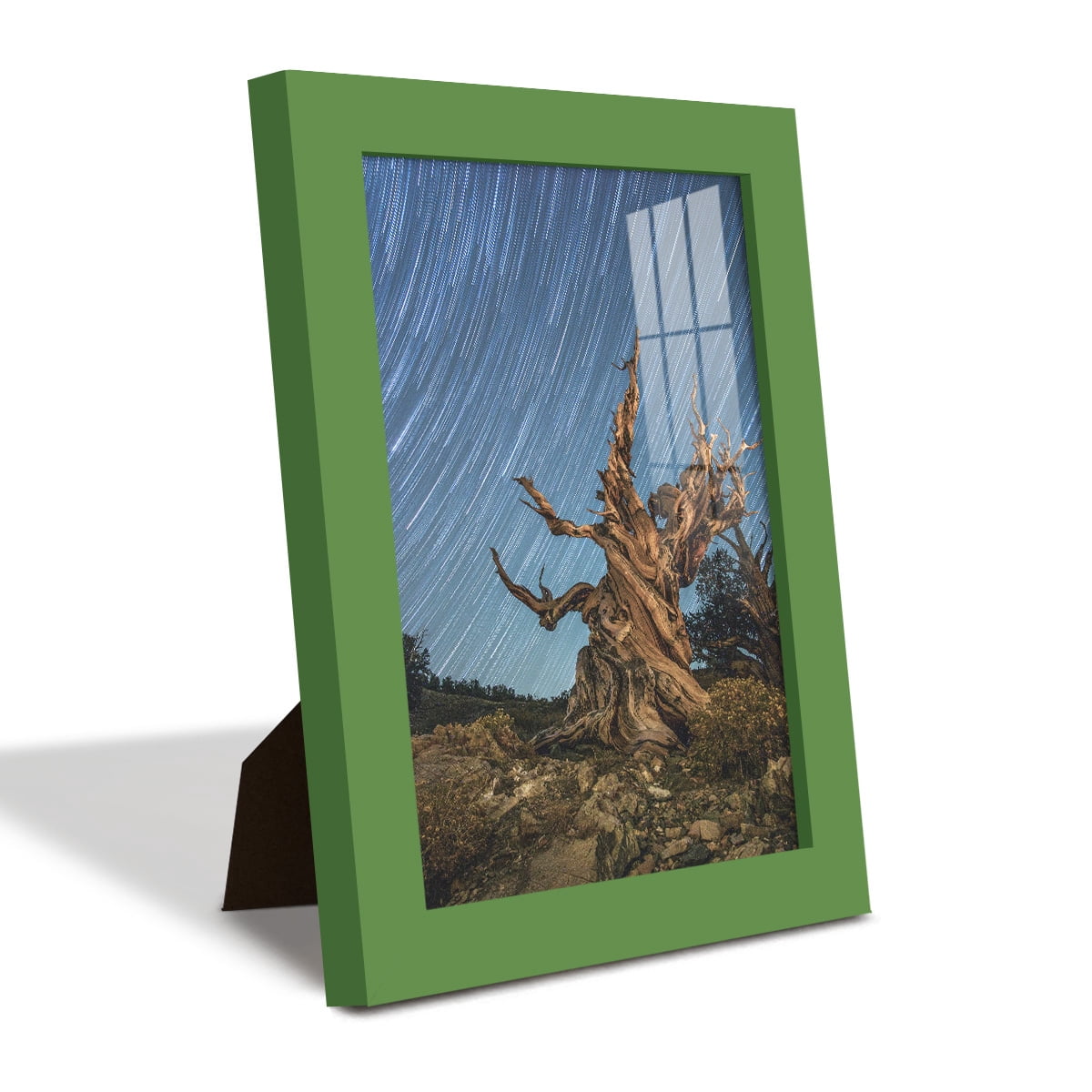 Modern 6 in. x 8 in. Green Picture Frame (Set of 4)