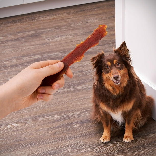Golden Rewards Dog Treats Duck Jerky Premium 16 oz