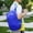 Blue, variant on Foldable Lightweight Hiking Backpack, DELESYS Packable Traveling Daypack Men Women Ultralight Thin Casual Day Pack Bag for Outdoor Sports Camping Beach Park