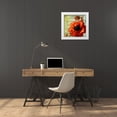 thumbnail image 3 of Art Licensing Studio 20x20 White Modern Wood Framed Museum Art Print Titled - Rouge From the Garden III, 3 of 4