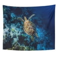 thumbnail image 1 of UFAEZU Aquatic Green Sea Turtle Swimming Swiftly on Coral Reef Wall Art Hanging Tapestry Home Decor for Living Room Bedroom Dorm 51x60 inch, 1 of 1
