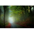 thumbnail image 2 of Goncalves, Adelino 32x23 White Modern Wood Framed Museum Art Print Titled - The Lane, 2 of 4
