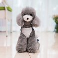 thumbnail image 2 of CSChome Dog Jumpsuit Dog Jumpsuit Round Neck Ruffles Hem Floral Printed Bowknot Romper Pet Jumpsuits, 2 of 7