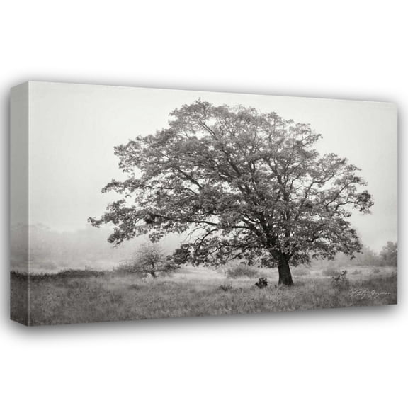 Vitaly Geyman 32x23 Gallery Wrapped Canvas Wall Art Titled - Burning Oak V BandW