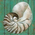 thumbnail image 2 of Tava, Janet 26x26 Gold Ornate Wood Framed with Double Matting Museum Art Print Titled - Nautilus, 2 of 4