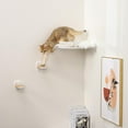 thumbnail image 5 of 3 Pcs Cat Wall Steps, Cat Shelves and Perches for Wall, Wall-Mounted Cat Climbing Shelf with Hemp Rope Covered, Cat Wall Furniture Steps Set with Scratching Pads for Cats Playing and Climbing (White, 5 of 17